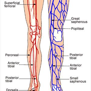 Varicose Eczema Tips - Benefits Of Wearing Medical Compression Stockings